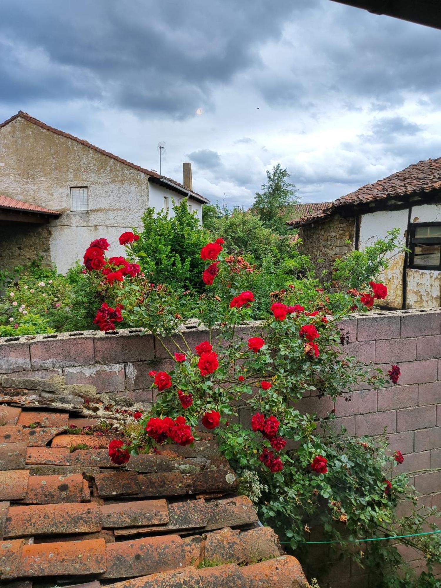 Casa Simon Vendégház Cervera De Pisuerga Kültér fotó